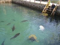 Nha Trang - Tri Nguyen-Aquarium