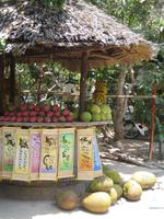 Mekongdelta - Fruchtoase