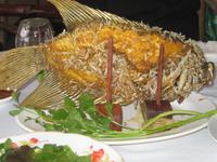 Mekongdelta - Elefantenohrfischessen