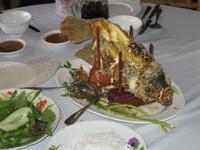 Mekongdelta - Elefantenohrfischessen