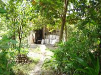 135 Alltägliche Dorfleben