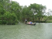 501 Mekong-Delta