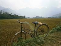 Fahrrad mit Landschaft