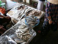 auf dem Markt in Hoi An