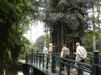 23 Garten am Haus von Onkel Ho