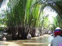 185 Sampanfahrt Mekong-Delta