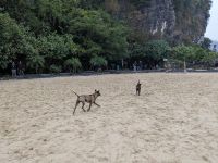 66. Ha Long Bucht