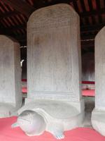 Schildkröte der Weisheit