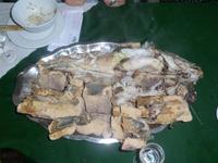 Hammerkopffisch in der Schlammkruste