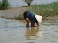 Vietnamesisches Leben