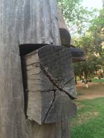 038 alles ohne Naegel.JPG