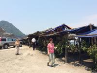 079 Strassenmarkt (2).JPG