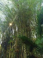 087 Pu Luong (2).JPG