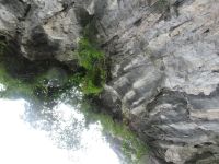 Blick nach oben