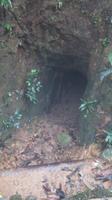 Bunker der Vietkong des Vietnamkrieges, Bach Ma Nationalpark