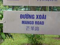 Das Schild weist auf die Mango-Road hin.