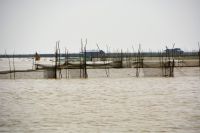Fischen im See