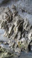Grottendecke, Ninh Binh, trockene Halong Bucht
