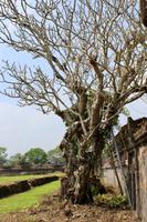Impressionen