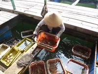 Leben auf einem schwimmenden Haus
