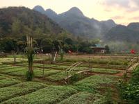 Mai Chau 