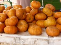 Mandarinen