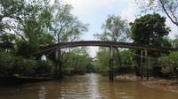 Mekong Delta, kleine Fahrt durch die Sümpfe