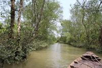 Mekong-Delta