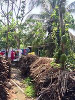 Mekong-Delta