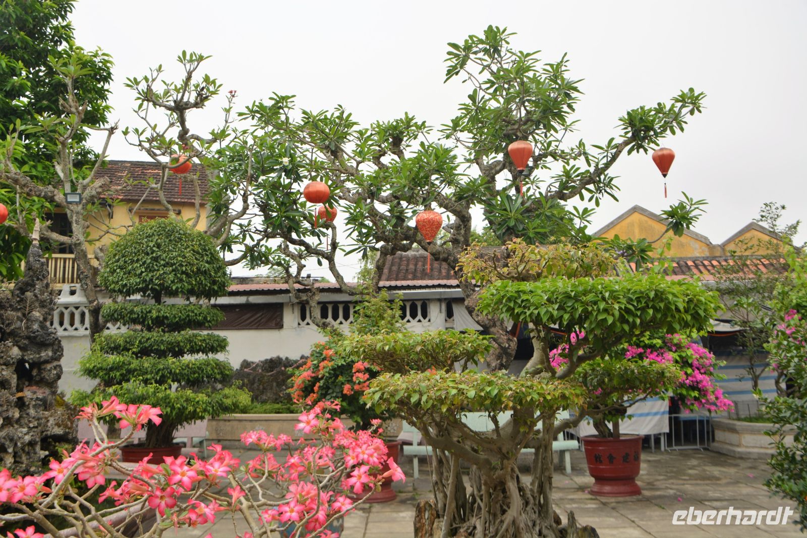 Phuc Kien 