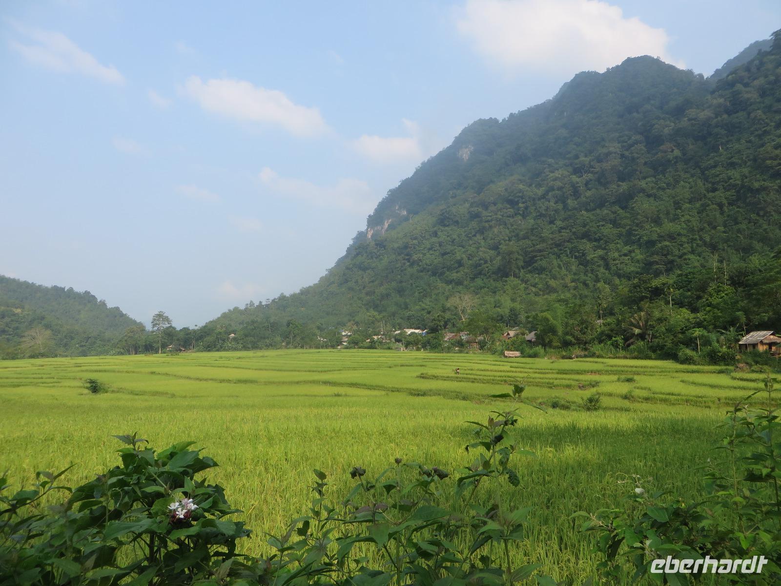 Postkarten Vietnam