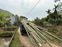 Vietnam - Mai Chau