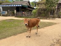 Vietnam - Mai Chau