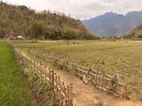 Vietnam - Mai Chau