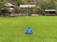 Vietnam - Mai Chau