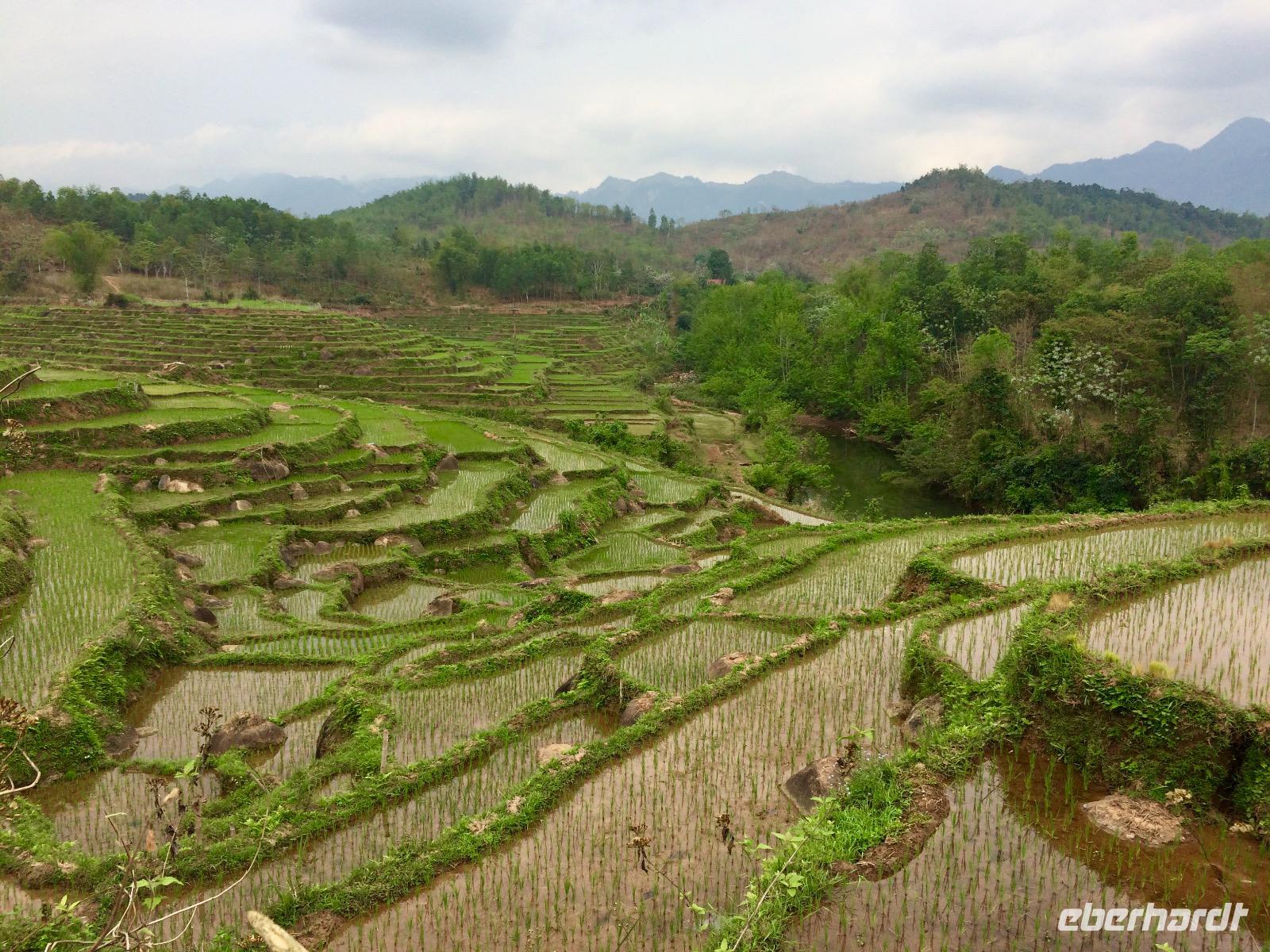 Wanderung Mai Hich