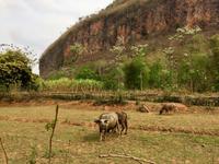 Wanderung Mai Hich