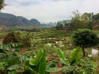 Wanderung Mai Hich