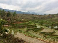 Wanderung Mai Hich