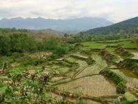 Wanderung Mai Hich