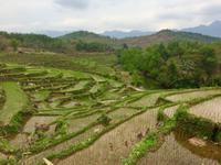 Wanderung Mai Hich
