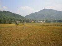 das Mai Chau Tal