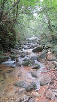 kleiner Flusslauf im Bach Ma National Park