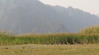 trockene Halong Bucht, Ninh Binh