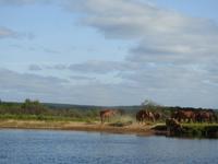 Bootsfahrt auf dem Keminioki Fluss