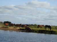 Bootsfahrt auf dem Keminioki Fluss