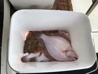 Bootsfahrt Kamtschatka