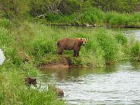 Bärentour Kamtschatka