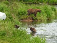 Bärentour Kamtschatka