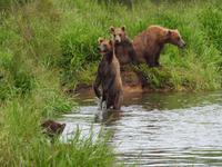 Bärentour Kamtschatka